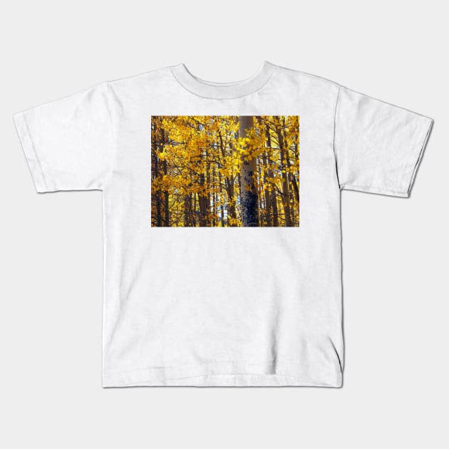 Colorado Aspen Trees in Fall Kids T-Shirt by Scubagirlamy